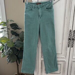 Judy Blue Garment Dyed Sea Green Straight Leg Jeans, Women’s Size 5/27 JB88621